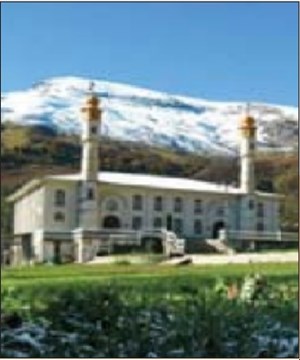 آیتالله میر عبدالباقی حسینی(ره)