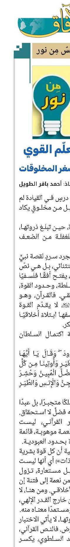 الضعيف يُعلّم القوي: درس خفي من أصغر المخلوقات
